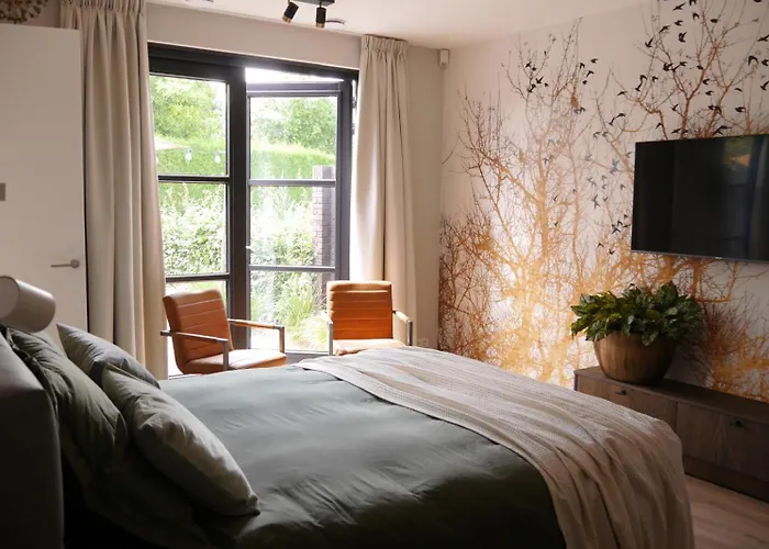 Bed and Breakfast T Klijnhuysje 3*