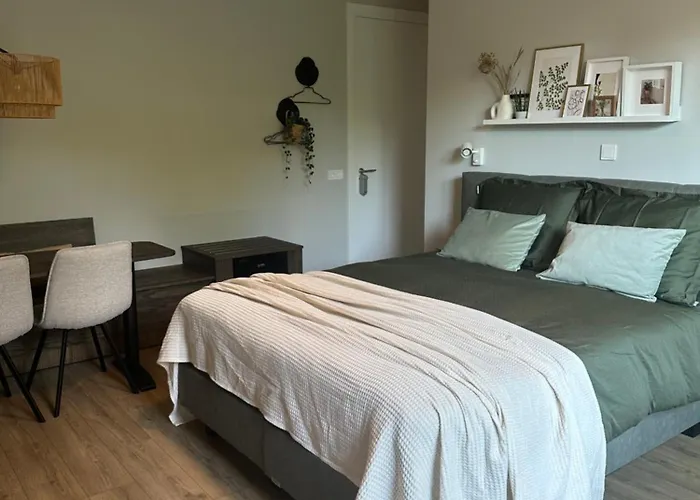 Bed and Breakfast T Klijnhuysje 3*