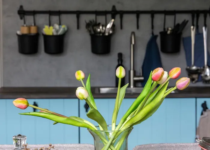 T Klijnhuysje 3* Kaatsheuvel